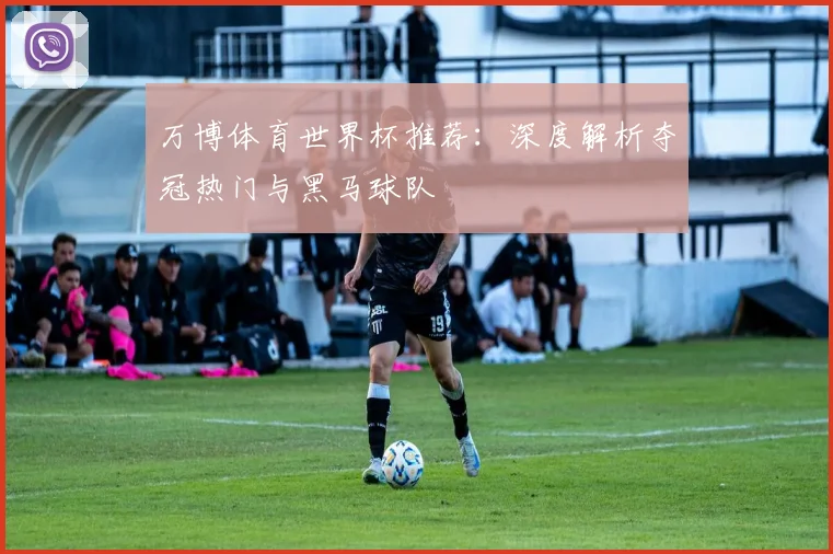 万博体育世界杯推荐：深度解析夺冠热门与黑马球队