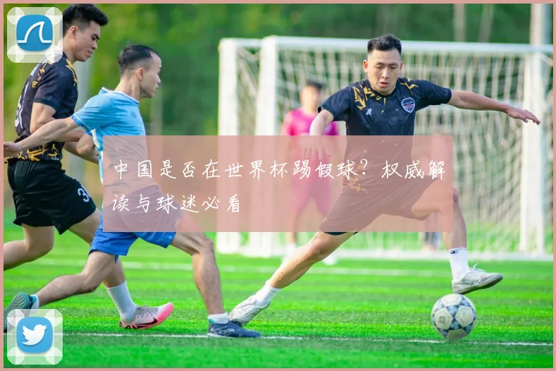 中国是否在世界杯踢假球？权威解读与球迷必看