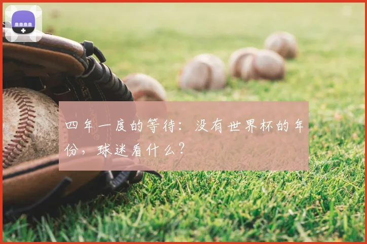 四年一度的等待：没有世界杯的年份，球迷看什么？