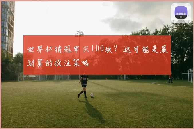世界杯猜冠军买100块？这可能是最划算的投注策略