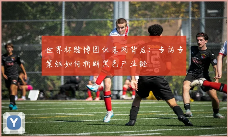 世界杯赌博团伙落网背后：专访专案组如何斩断黑色产业链