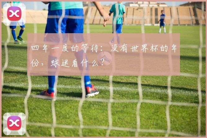 四年一度的等待：没有世界杯的年份，球迷看什么？