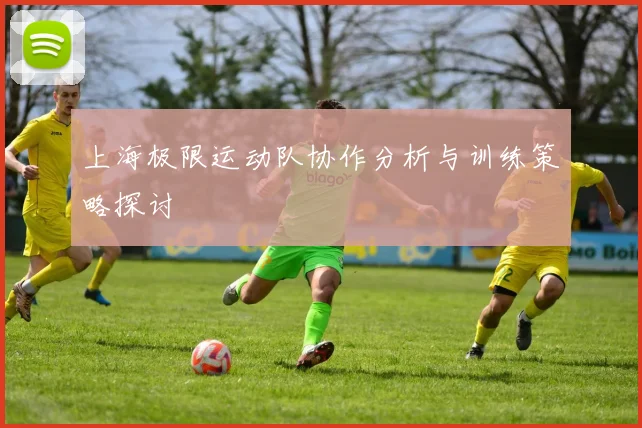 上海极限运动队协作分析与训练策略探讨