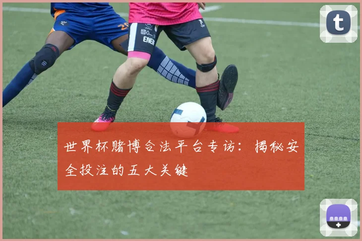 世界杯赌博合法平台专访：揭秘安全投注的五大关键