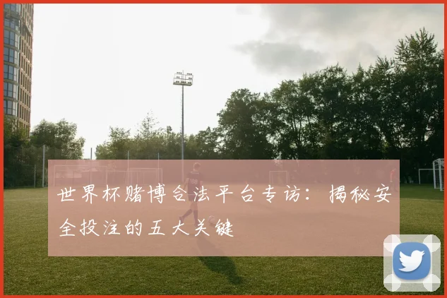 世界杯赌博合法平台专访：揭秘安全投注的五大关键