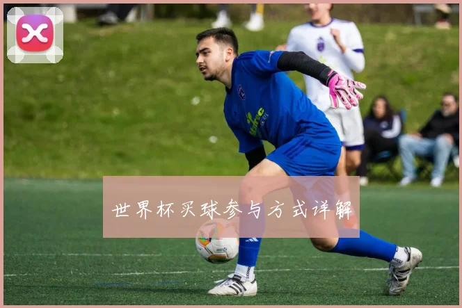 世界杯买球参与方式详解