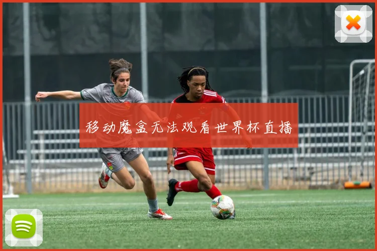 移动魔盒无法观看世界杯直播