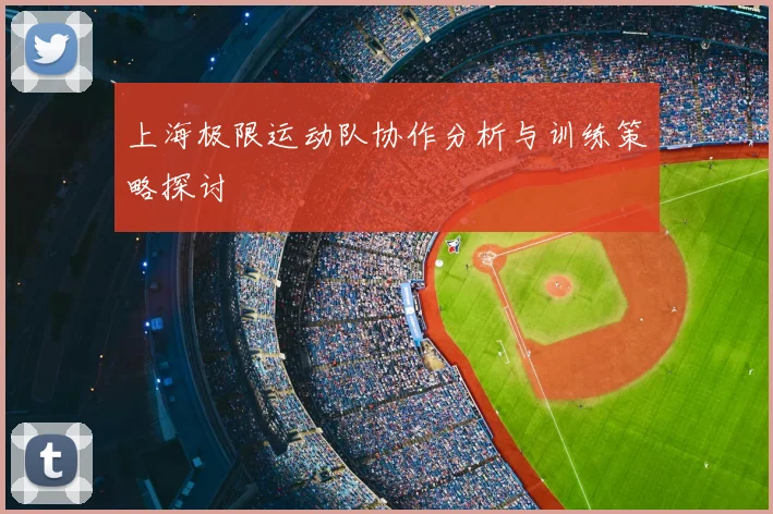 上海极限运动队协作分析与训练策略探讨