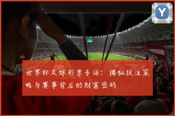 世界杯足球彩票专访：揭秘投注策略与赛事背后的财富密码