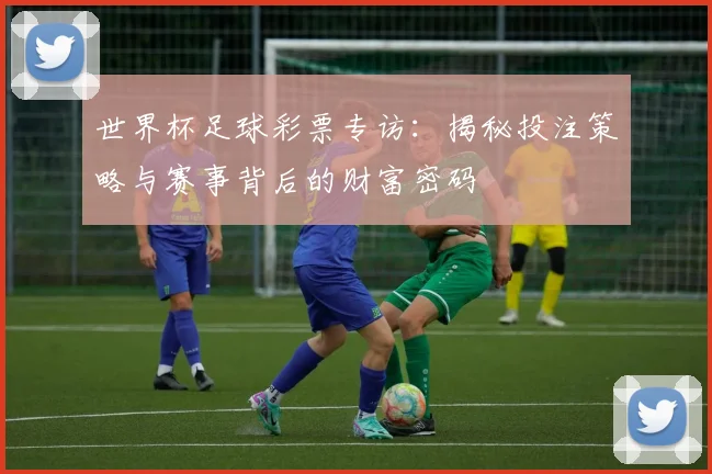 世界杯足球彩票专访:揭秘投注策略与赛事背后的财富密码