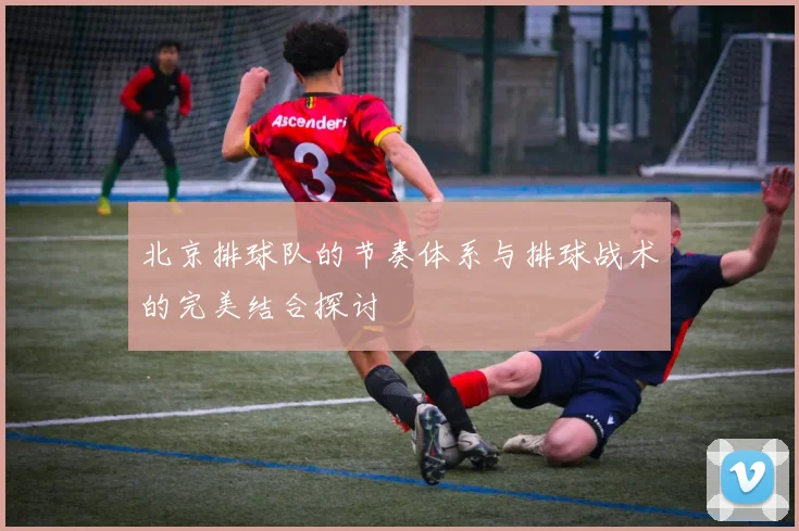 北京排球队的节奏体系与排球战术的完美结合探讨