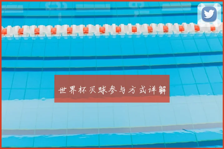世界杯买球参与方式详解