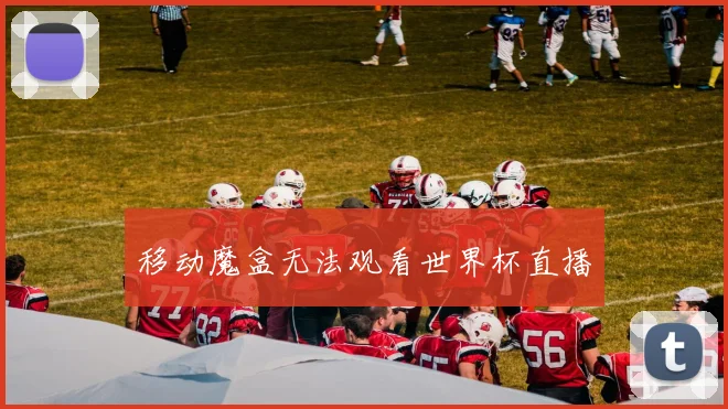 移动魔盒无法观看世界杯直播